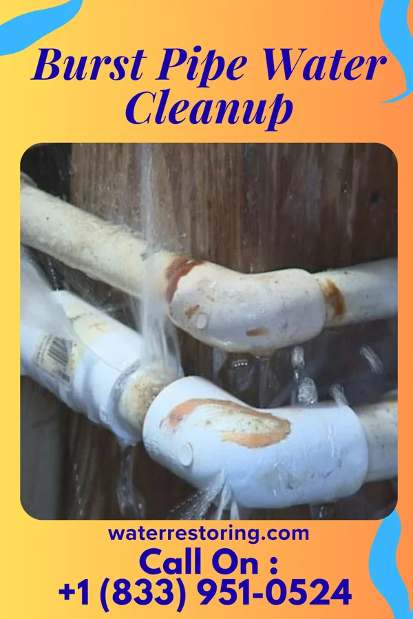 Burst Pipe Water Cleanup in Rosedale, LA
