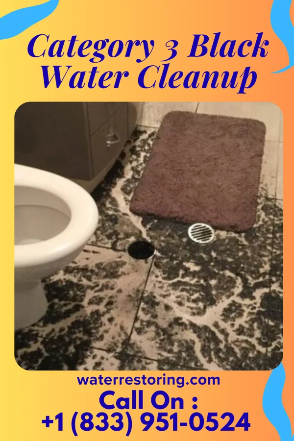 Category 3 Black Water Cleanup in Rosedale, LA