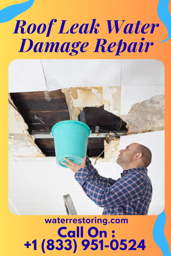 Roof Leak Water Damage Repair in Rosedale, LA