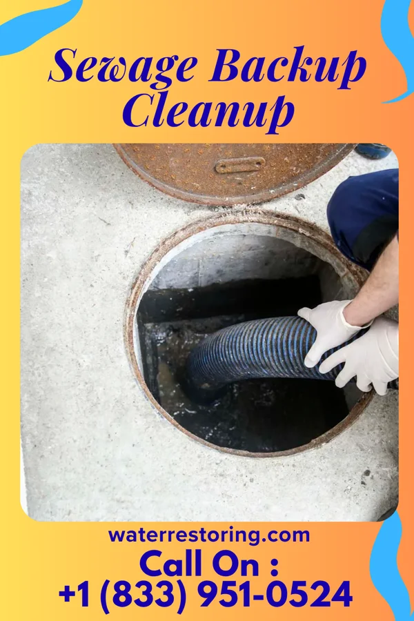 Sewage Backup Cleanup in Rosedale, LA